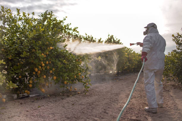 Flea Control Services in Jennings, LA