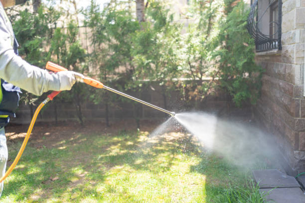 Professional Pest Control in Jennings, LA