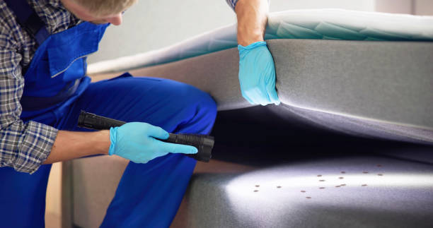 Best Best Pest Control Companies  in Jennings, LA