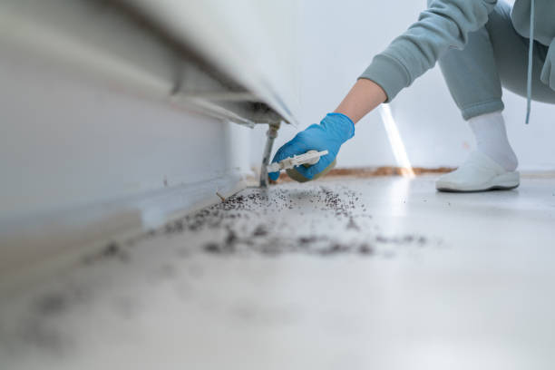 Best Bed Bug Extermination  in Jennings, LA