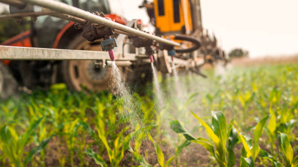 Best Mosquito Control Services  in Jennings, LA