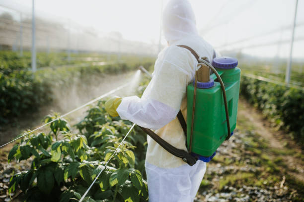 Best Commercial Pest Control Services  in Jennings, LA
